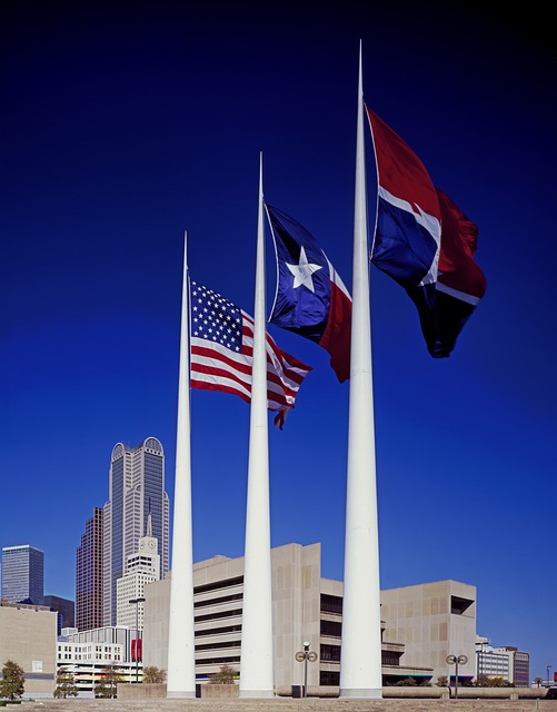 city hall, plaza, dallas, texas, buildings, skyline, sky, nature, city, cities, urban, architecture, flags